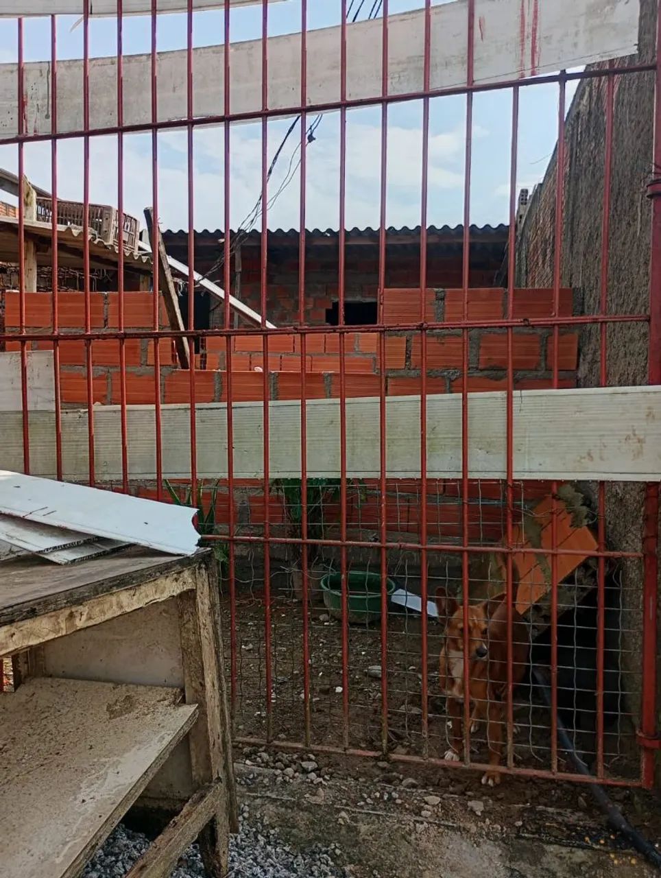 Casa e terreno 