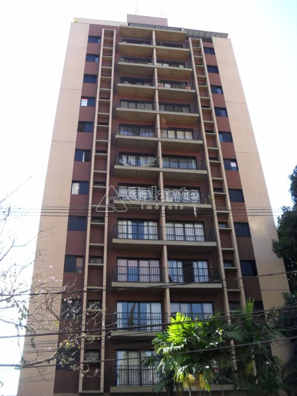 apartamento - Cambuí - Campinas