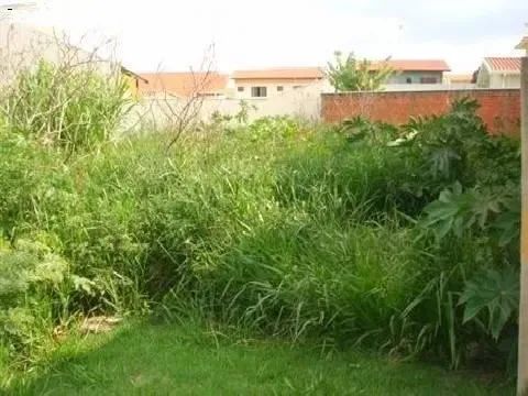 terreno - Parque Alto Taquaral - Campinas - Foto 3