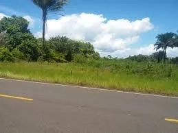 VENDE-SE TERRENO - 11.800 m² - Foto 2