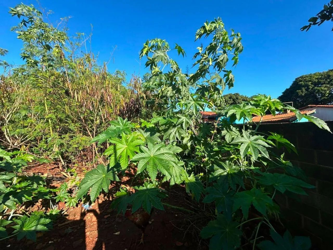 TERRENO À VENDA NO BARÃO GERALDO EM CAMPINAS/SP - Foto 3