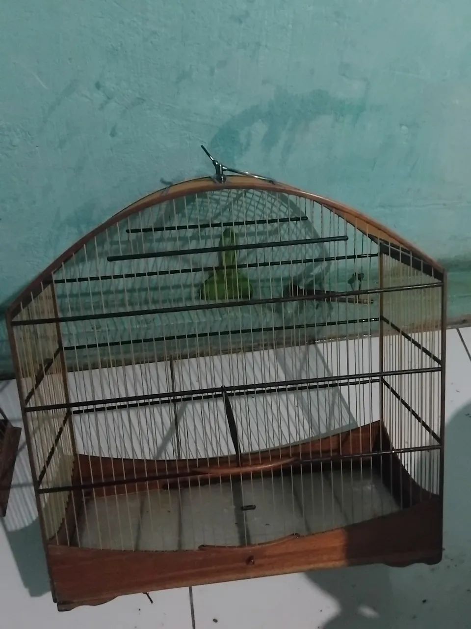 Gaiola - Foto 3