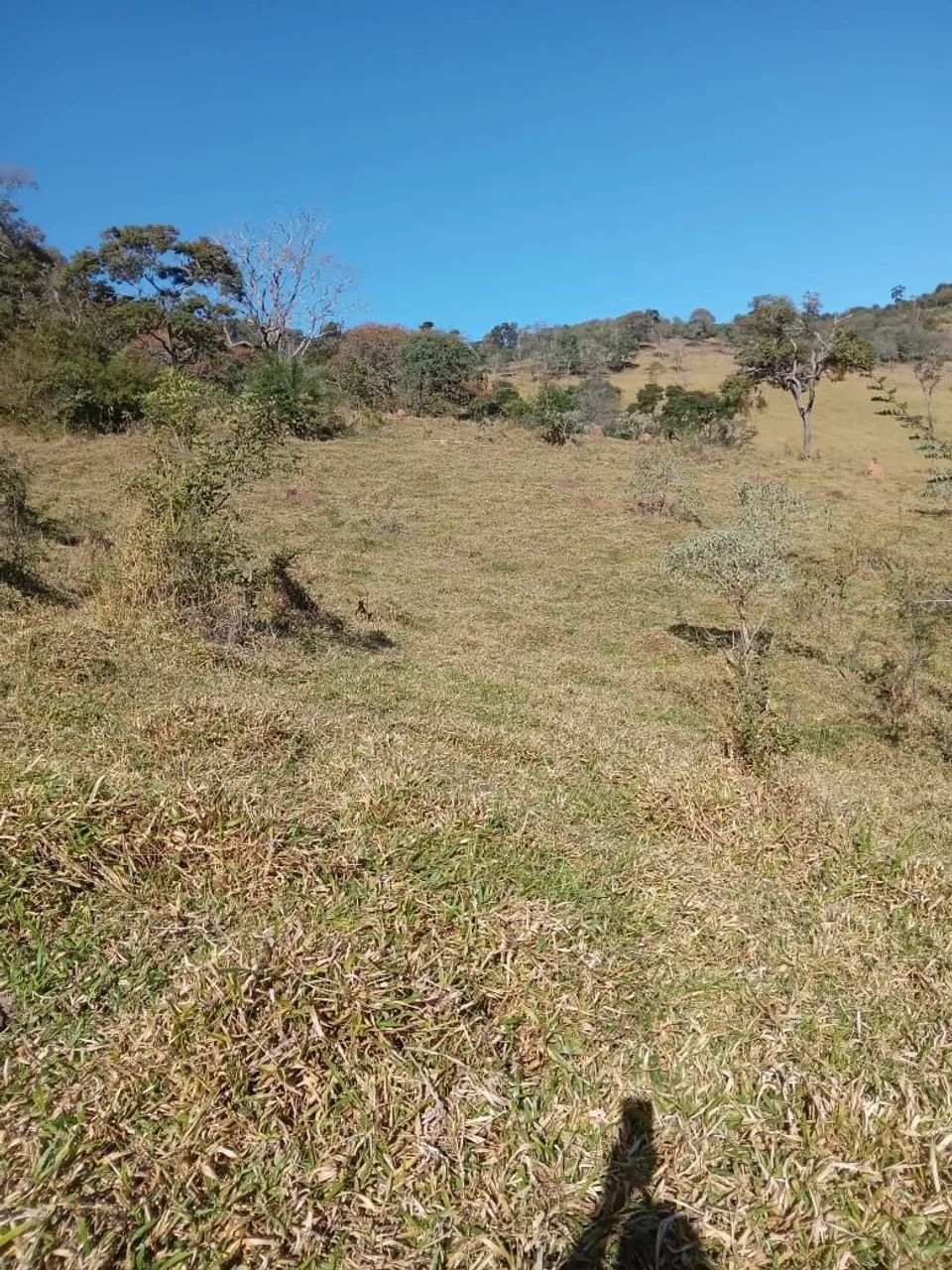 Fazenda de 10 alqueires em Oliveira - MG - Foto 2