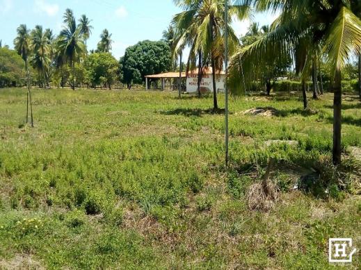 Chácara à venda - no robalo - Foto 17