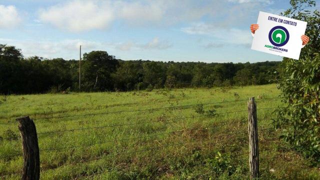 Fazenda na região livramento - Foto 14