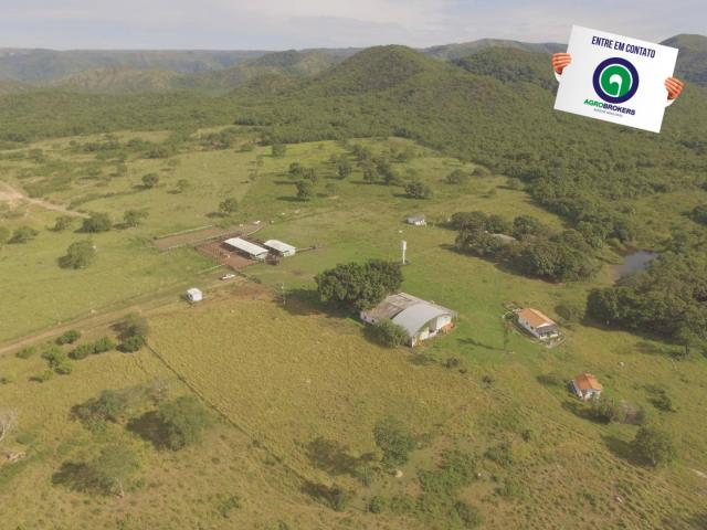Fazenda 1000 ha região do olho d´água - Foto 6