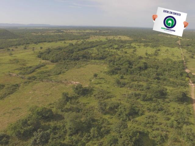 Fazenda 1000 ha região do olho d´água - Foto 4