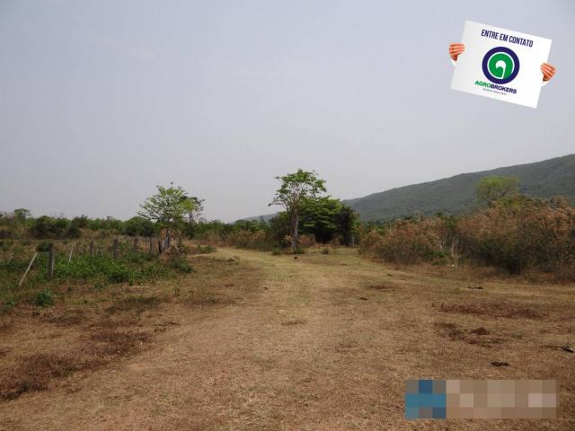 Fazenda 1.970ha - Foto 13