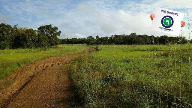 Fazenda na região livramento - Foto 5