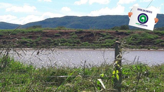 Fazenda 1.650 ha sentido caceres - Foto 16