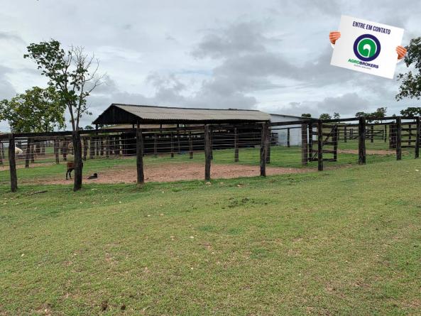 Fazenda 400 ha região de acorizal - Foto 9