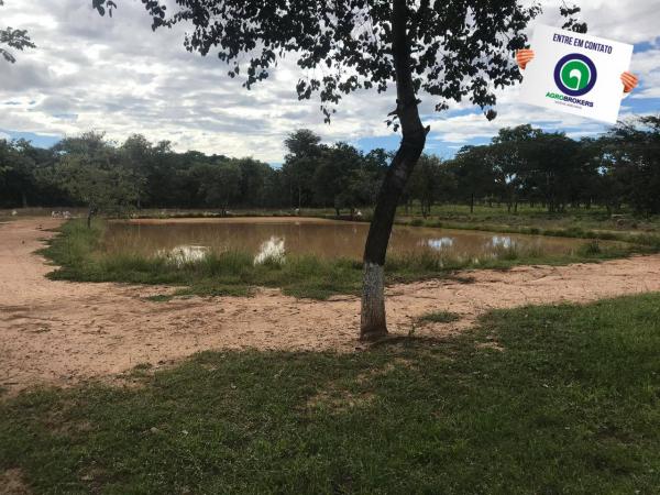 Sitio região do sucuri - Foto 7