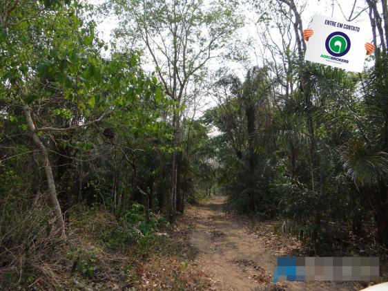 Fazenda 1.970ha - Foto 2