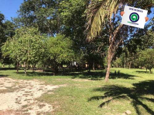 Sítio 28,7 ha no cinturão verde - Foto 20