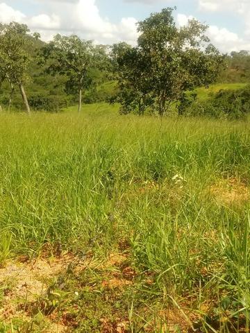 Fazenda em Unaí - MG - Foto 9