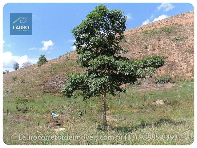 Sítio com 9 Alqueires a 30 km de T. Otoni - Foto 12