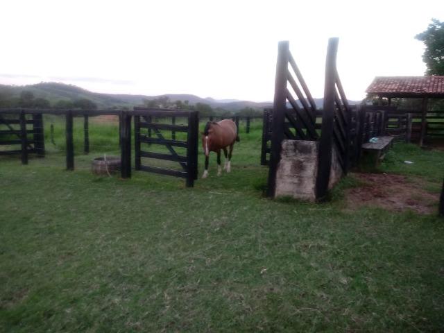 Fazenda em Unaí - MG - Foto 7