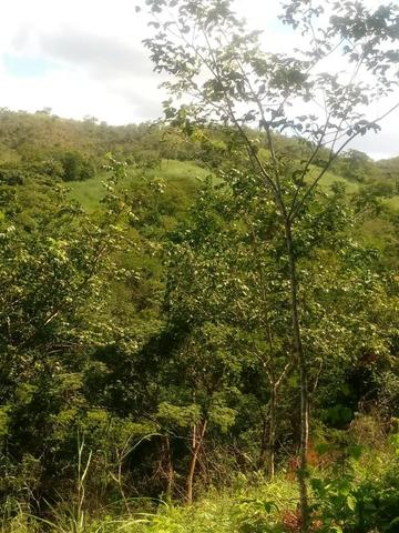 Fazenda em Unaí - MG - Foto 13