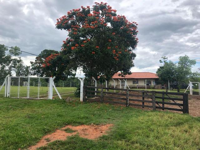 Nova Taquari MT Fazenda a 60 km da cidade com 2.480 hectares em pasto - Foto 15