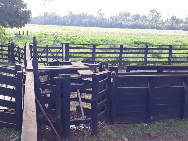 Fazenda em Senador - PA 200 alqueires (15 mil o alq)