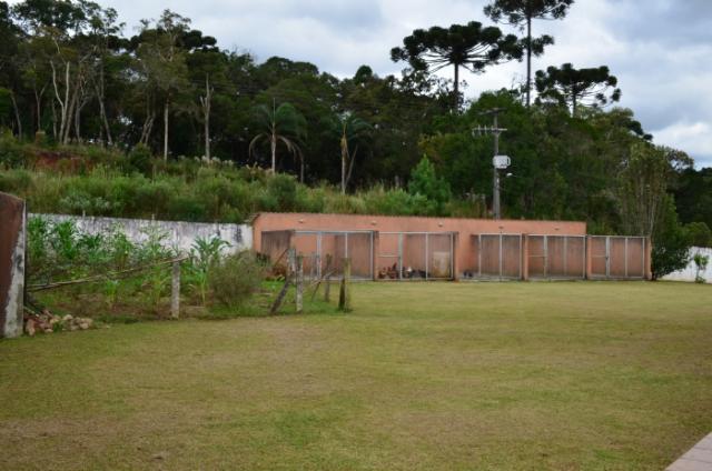 Chácara à venda em Planta granjas eldorado, Piraquara cod: * - Foto 16