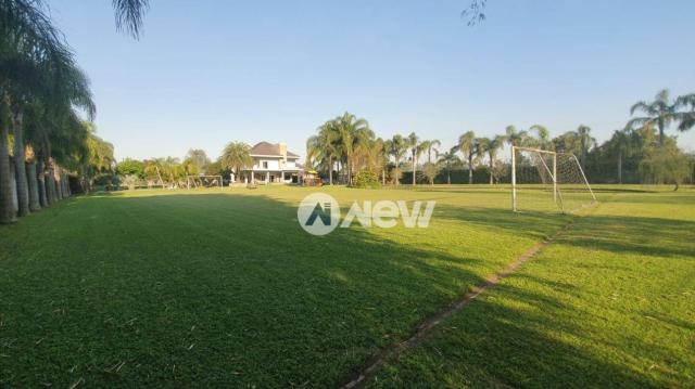 Casa com 4 dormitórios à venda, 506 m² por r$ 2.300.000,00 - lomba grande - novo hamburgo/ - Foto 8