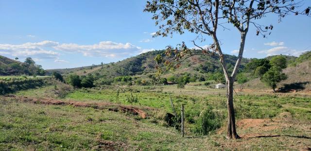 Fazenda 104 hectares , próximo de Governador Valadares MG - Foto 11
