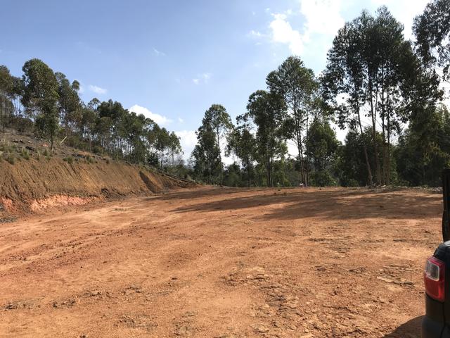 Vendo Fazenda - Foto 11