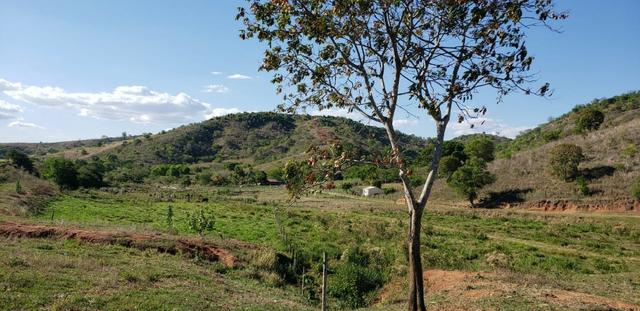 Fazenda 104 hectares , próximo de Governador Valadares MG - Foto 9