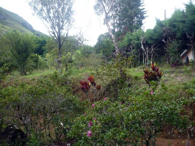 Sítio em Banquete/Bom Jardim-RJ - 8.000m2 - Foto 7