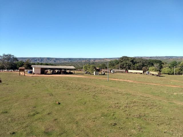 Fazenda Guiratinga MT 6.080 Ha - Foto 17