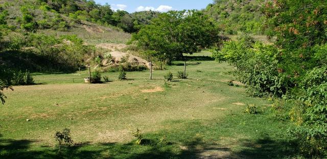 Fazenda 104 hectares , próximo de Governador Valadares MG - Foto 5