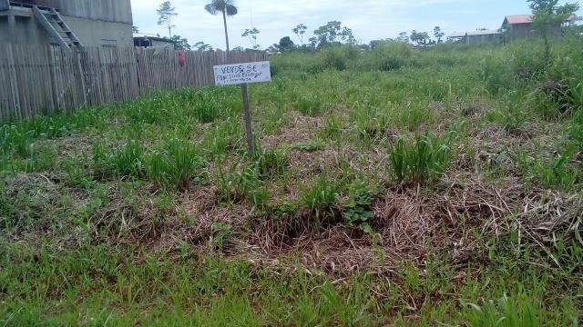 Vendo um terreno medindo. 12×25. no bairro Leo poldina. Há 100 metro da BR