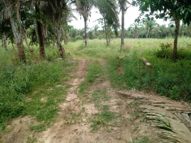 Fazenda há 50 km de Várzea Grande sentido Poconé