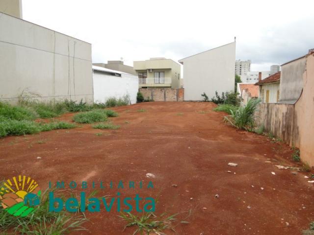 Terreno à venda em Centro, Apucarana cod:TE00095 - Foto 3