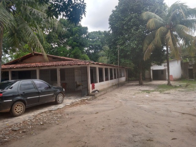 Vendo Sitio No Cruzeiro de Santa Barbara - Foto 4