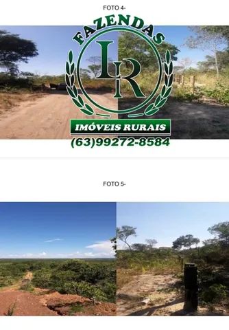 Fazenda 679 Alqueires Dupla Aptidão Estado Tocantins - Foto 4