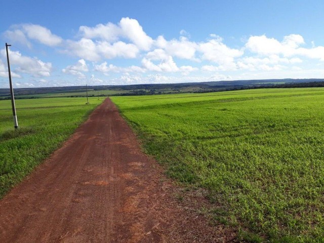 Fazenda em Paranatinga - MT 16.000 hectares. - Foto 5