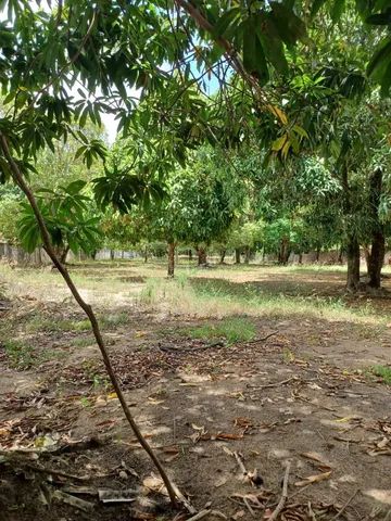 Vendo Sitio em Riacho Doce