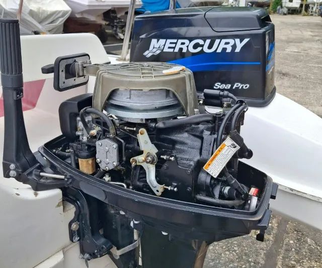 Lancha Pointer 470 - Foto 4