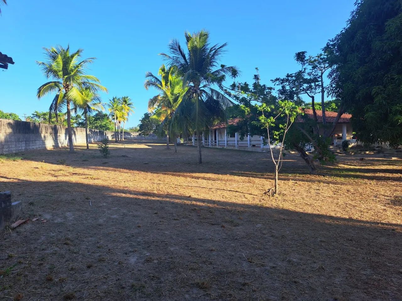 Sitio com Terreno de 6.446m²