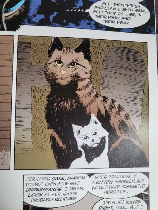 Absolute Sandman vol 1 VERTIGO , em inglês e capa de couro. $99 de graça - Foto 3