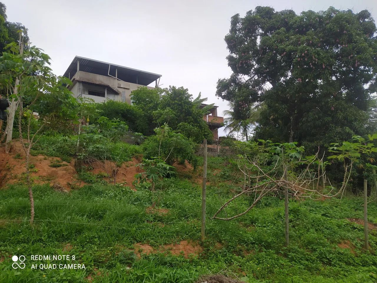 Terreno escriturado à venda - Foto 2