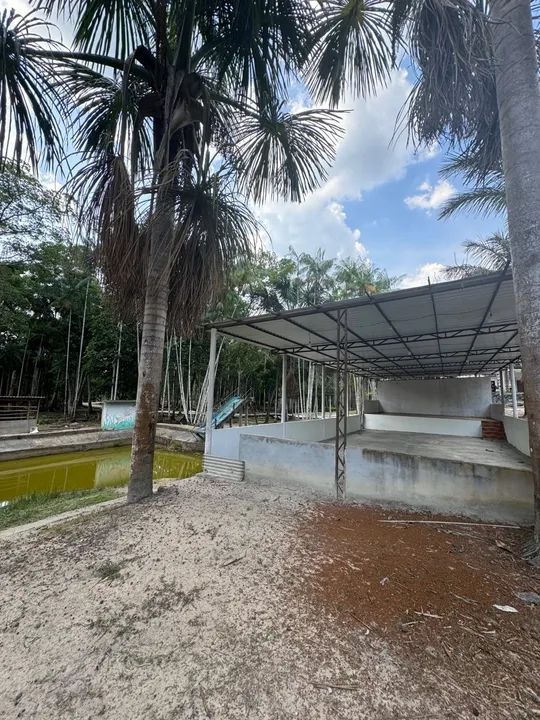 Sítio no ramal do brasileirinho  - Foto 6