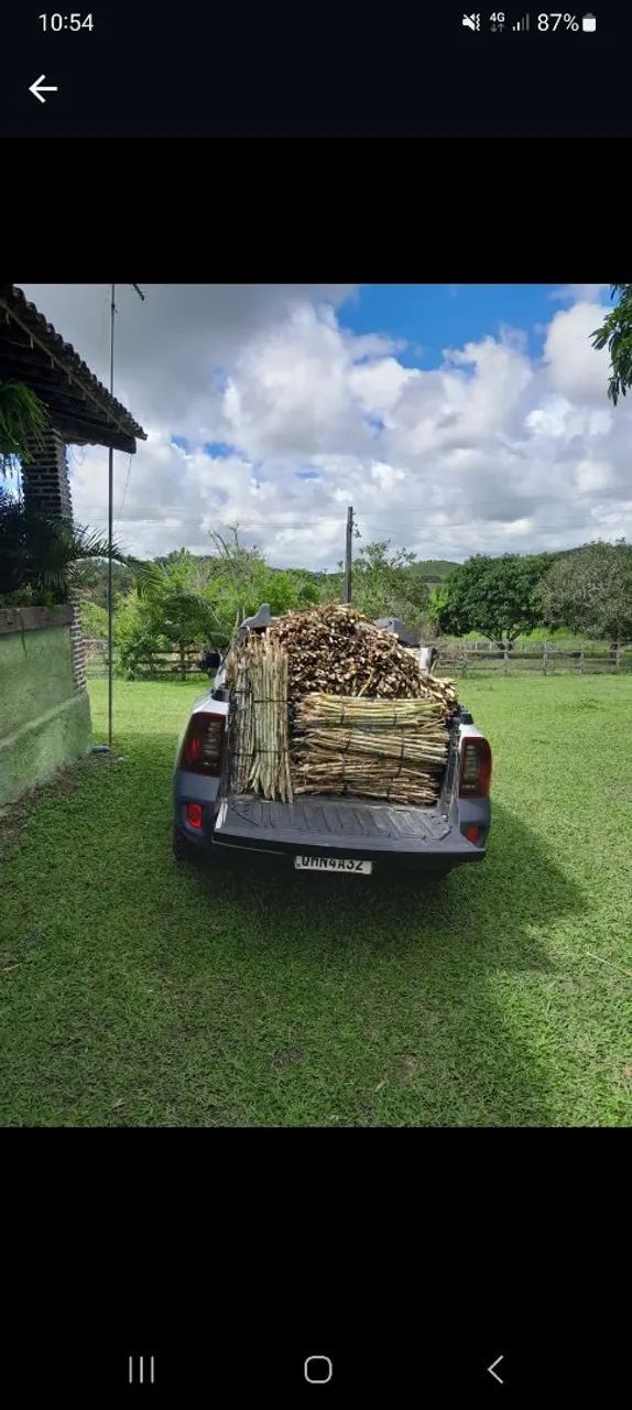 GEMAS MUDAS DO CAPIAÇU E KURUMI BRS CAPIM ELEFANTE  - Foto 5