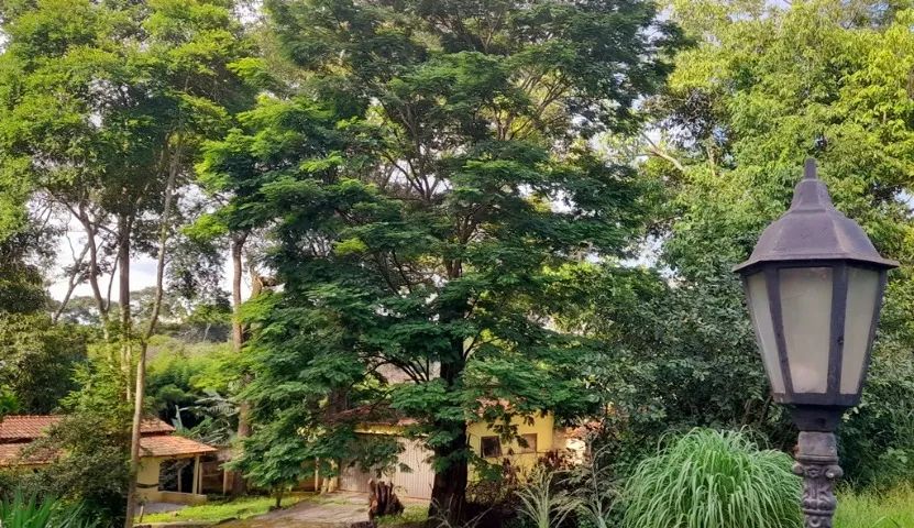 Chácara para Aluguel em Aparecida de Goiânia - Eventos e Temporadas - Foto 6