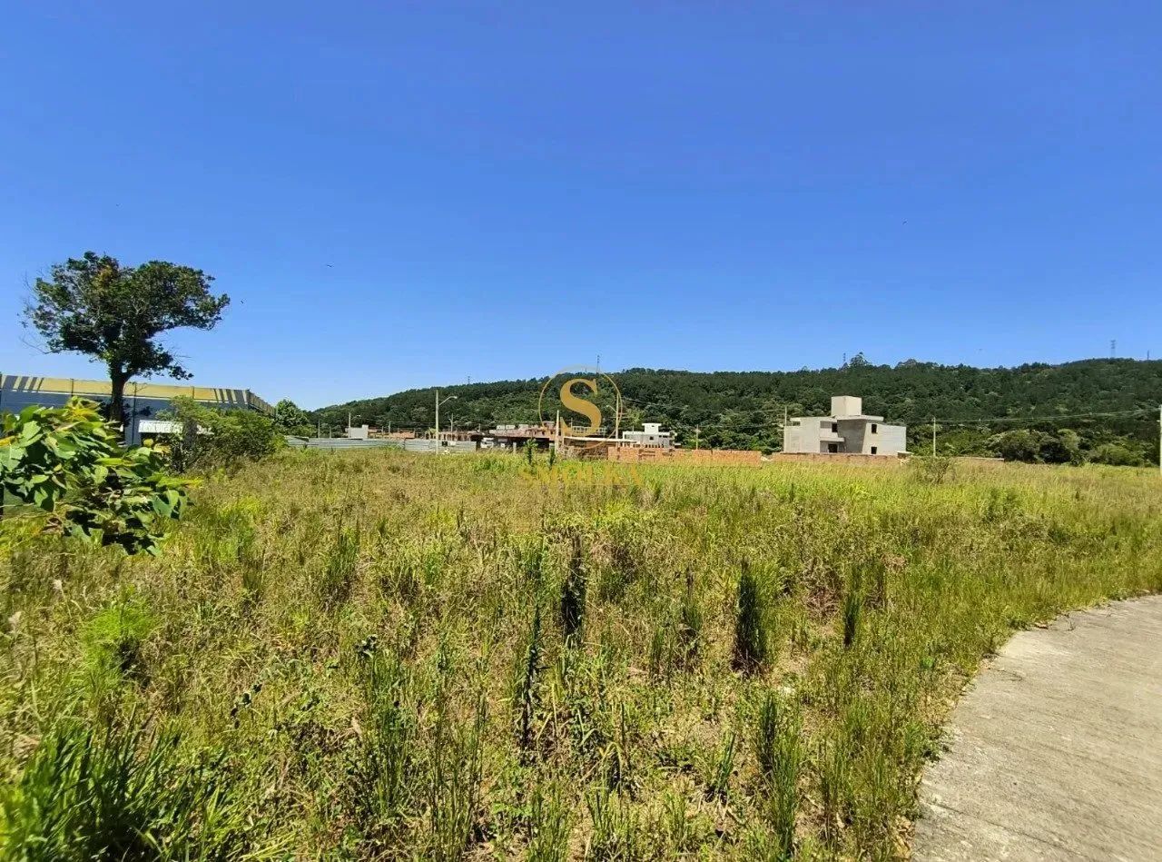 EXCELENTE TERRENO A VENDA EM CANASVIEIRAS SC401 - FLORIANOPOLIS// - Foto 3