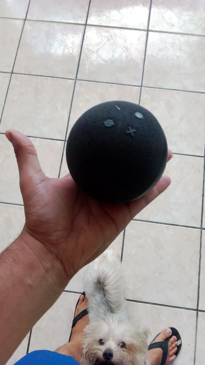 Amazon Echo Dot (4ª Geração)