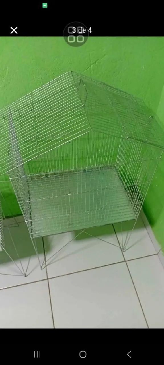 Viveiro novos64319325175554123