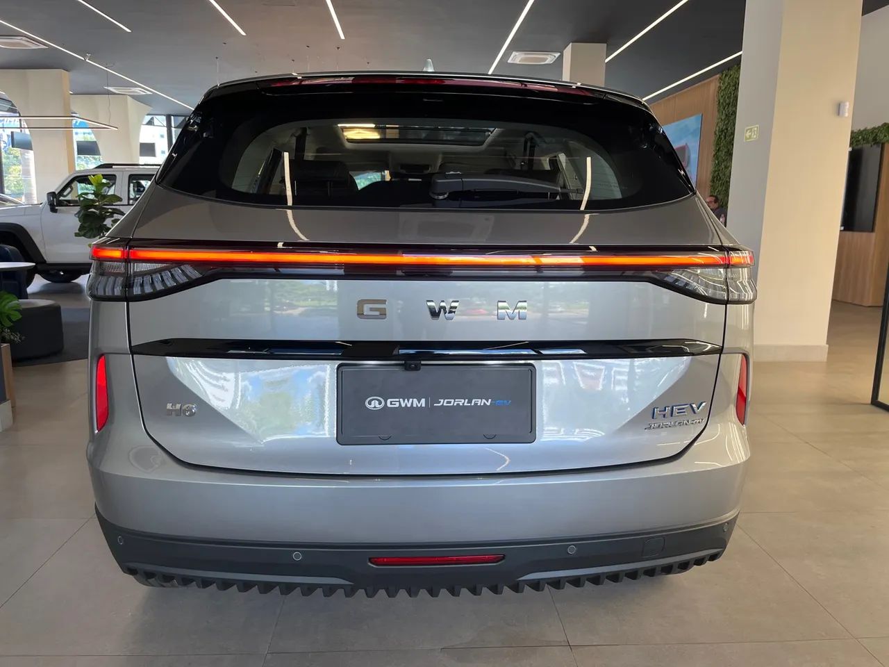 HAVAL HEV2 25/25 - Foto 5